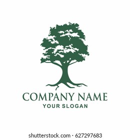 Tree logo design template
