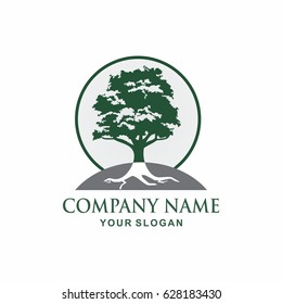 Tree logo design template