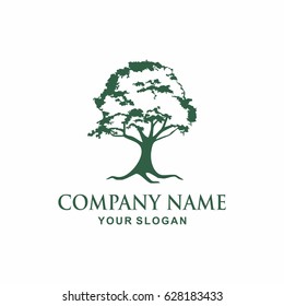Tree logo design template