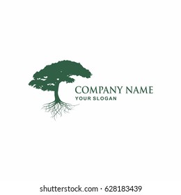 Tree logo design template