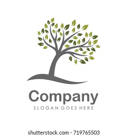 Tree logo design template