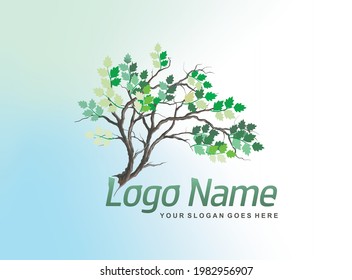 tree logo design templates, beautiful and elegant tree