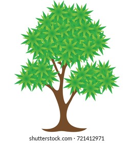 Tree logo design template.Vector