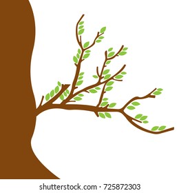 Tree logo design template.Vector