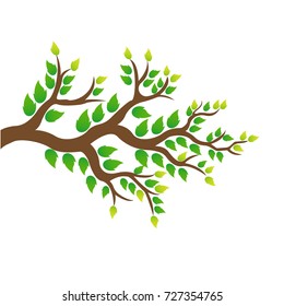 Tree logo design template.Vector