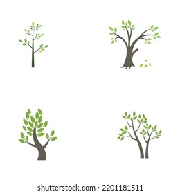 tree logo design with vector concept