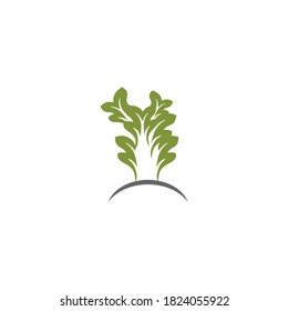 tree  logo design vector icon