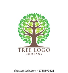 Tree Logo design vector illustration. Abstract Tree Logo vector in creative design concept for nature, agriculture and farm business. Tree Logo, icon, sign and symbol vector design illustration.