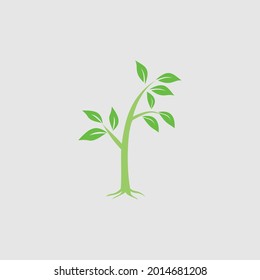 tree logo design vector image