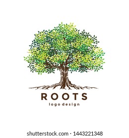 Tree  logo design vector isolated, olive tree as a logo template