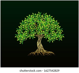 Tree  logo design vector isolated on dark background, olive tree as a logo template