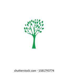 tree logo design with white background.