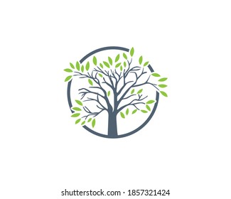 Tree Logo design-tree vector icon design