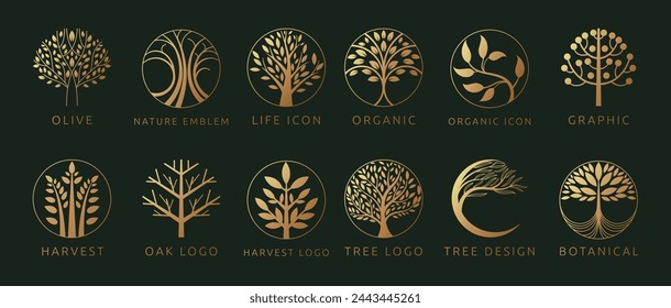 Tree logo icon. Golden plant elements in circle. Emblem, badge or logotype modern design. Life oak leaf. Nature leaves, abstract graphic, grow design, growth harvest. Spa brand. Vector garish line