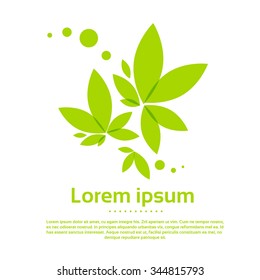 Tree Logo Icon with Green Leaves Vector Illustration