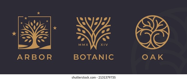 Tree logo icon set design  Garden plant natural symbols template  Tree life branch and leaves business sign collection  Vector illustration 