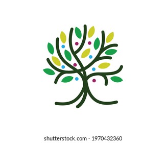 Tree logo icon template design. Garden plant natural line symbol. Black branch with leaves business sign. Vector illustration.