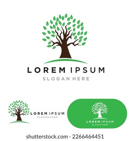Tree logo icon vector illustration design.Vector silhouette of a tree templates of tree logo and roots  tree of life design illustration