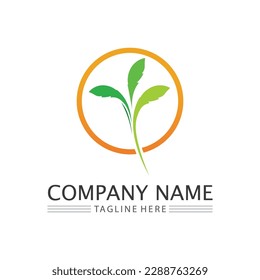 Tree logo icon vector illustration design.Vector silhouette of a tree templates of tree logo and roots  tree of life design illustration