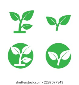 Icono de árbol diseño de ilustración vectorial.Silhouette vectorial de una plantilla de árbol logotipo de árbol y árbol de raíces ilustración de diseño de vida