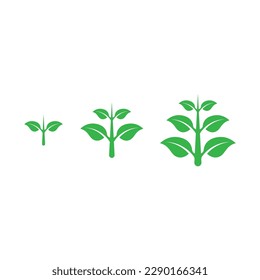 Tree logo icon vector illustration design.Vector silhouette of a tree templates of tree logo and roots  tree of life design illustration