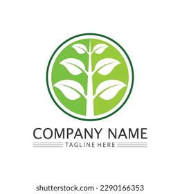 Tree logo icon vector illustration design.Vector silhouette of a tree templates of tree logo and roots  tree of life design illustration