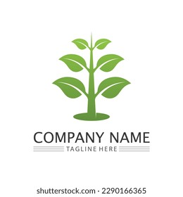 Tree logo icon vector illustration design.Vector silhouette of a tree templates of tree logo and roots  tree of life design illustration