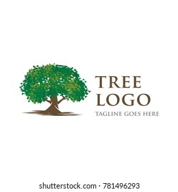 tree logo icon vector template