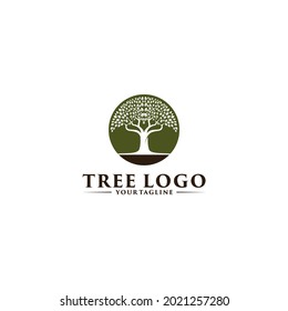 tree logo with illustration of a tree that has lush leaves depicting a thriving tree