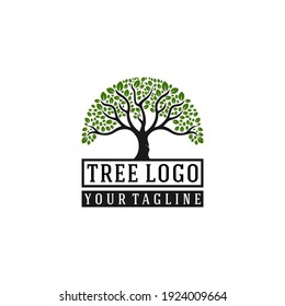 tree logo with tree illustration that looks lush and lush foliage