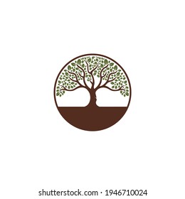 tree logo with illustration of a thriving tree