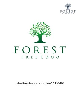 Tree logo illustration, Vector silhouette of a tree logo design.