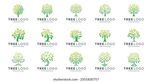 tree logo inspiration, Botanic plant nature symbols. Tree branch with leaves signs. Natural design elements emblem collection vector illustration