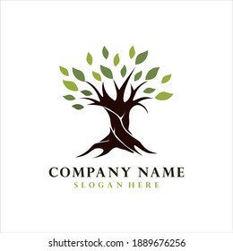 Modern Deciduous Tree Logo Stock Vector (Royalty Free) 1304573962