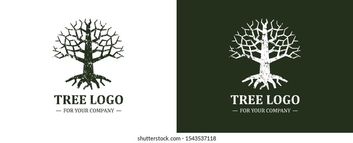 Tree logo isolated on a white background. Classic design. Green and brown colors. Lettering. Space for text. Leaves and roots. Simple modern concept. Circle form. Flat style vector illustration.