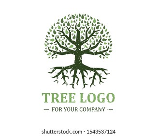 Tree logo isolated on a white background. Classic design. Green and brown colors. Lettering. Space for text. Leaves and roots. Simple modern concept. Circle form. Flat style vector illustration.
