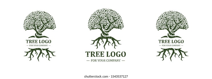 Tree logo isolated on a white background. Classic design. Green and brown colors. Lettering. Space for text. Leaves and roots. Simple modern concept. Circle form. Flat style vector illustration.