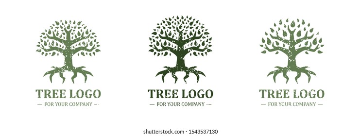 Tree logo isolated on a white background. Classic design. Green and brown colors. Lettering. Space for text. Leaves and roots. Simple modern concept. Circle form. Flat style vector illustration.