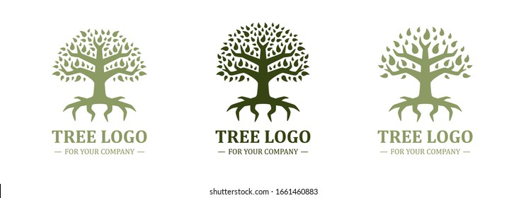 Tree logo isolated on a white background. Classic design. Green color. Lettering. Space for text. Leaves and roots. Simple modern concept. Circle form. Flat style vector illustration.