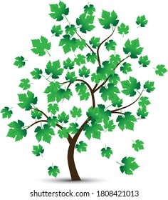 Logo de árbol aislado en fondo blanco.