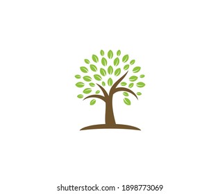 Vector de la naturaleza de la hoja del logotipo del árbol 