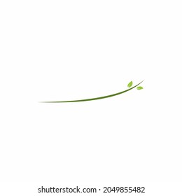 Tree logo, leaf logo ,vector logo template