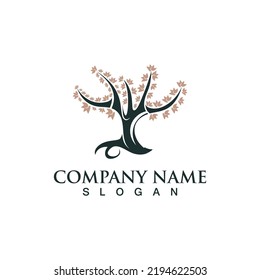 Tree logo nature design image of tree ecology element vector