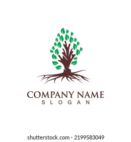 Tree logo nature design image of tree ecology element vetor