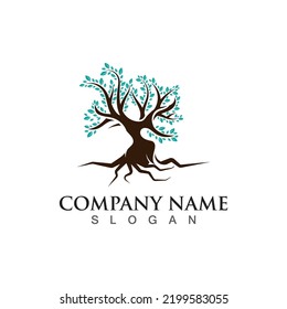 Tree logo nature design image of tree ecology element vetor