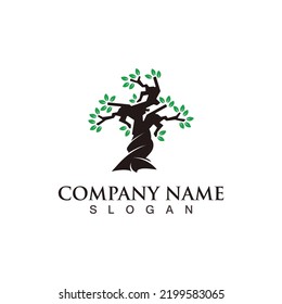 Tree logo nature design image of tree ecology element vetor