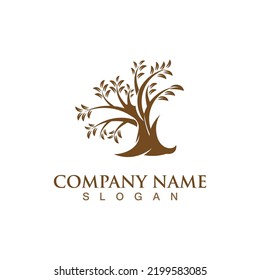 Tree logo nature design image of tree ecology element vetor