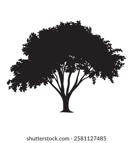  tree logo, oak trees, oak tree silhouette, oak vector,