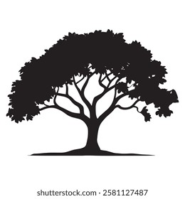  tree logo, oak trees, oak tree silhouette, oak vector,