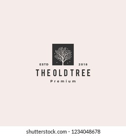 tree logo retro hipster vintage logo label